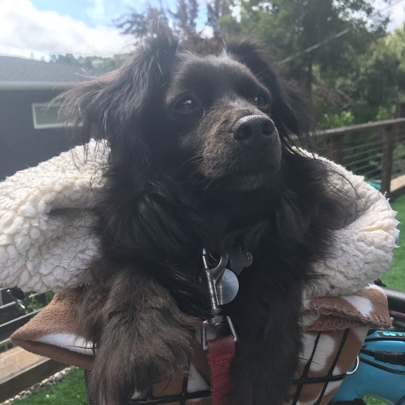 Meet your Posher, Natalia - Picture 3 of 5